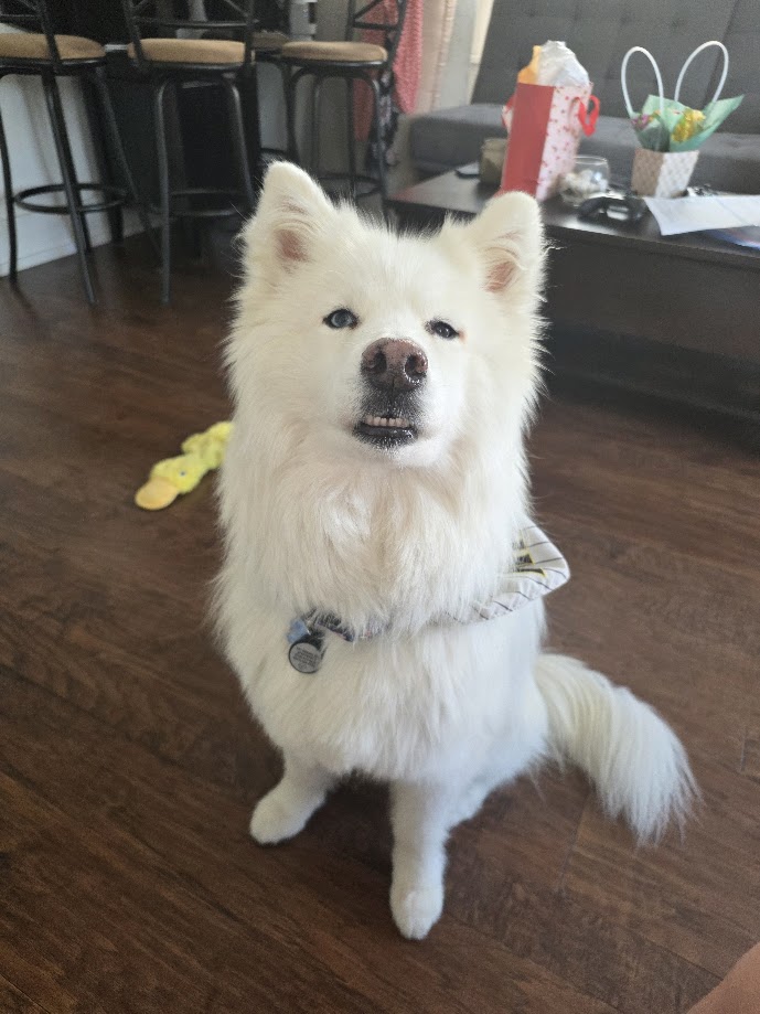 This is my babygirl, Cloudia